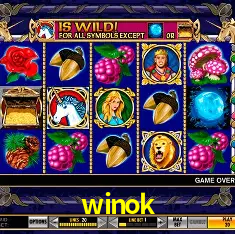 winok Brasília - Casino Guide