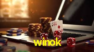 Interface Premium winok