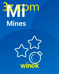WINOK.COM